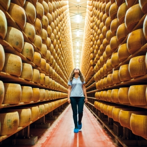 Parmigiano Reggiano cheese Pdono - Lola A. Åkerström