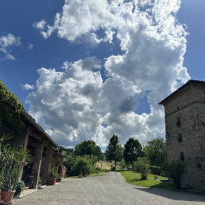 immagine da AGRITURISMO ANTICA TORRE immagine da AGRITURISMO ANTICA TORRE