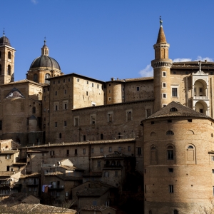 Urbino - Giacomo Baldoni