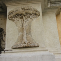 Porta adriana l'albero nella facciata - Montanarigiorgio