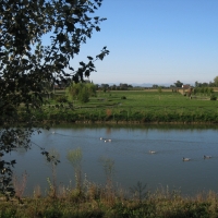 Parco Golfera, veduta 1 - Sofiadiviola