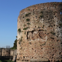 Rocca Brancaleone, torre - Stefano pezzi
