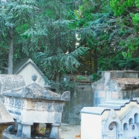 Cimitero Monumentale di Massa Lombarda 02 - Federica ricci - Massa Lombarda (RA)