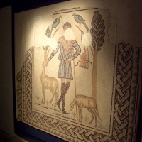 Domus dei Tappeti di Pietra-Mosaico del Buon Pastore - Clawsb - Ravenna (RA)