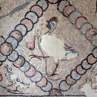 Mosaici pavimentali da san severo a classe, 590 dc ca. 06 - Sailko - Ravenna (RA)