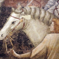 Pietro da rimini e bottega, affreschi dalla chiesa di s. chiara a ravenna, 1310-20 ca., adorazione dei magi 05 - Sailko - Ravenna (RA)