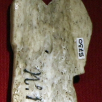 Bottega di baldassarre degli embriachi (attr.), retro di placchetta con coppia, osso, 1390 ca - Sailko - Ravenna (RA)