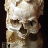Francia o fiandre, memento mori a forma di teschio, xvi secolo - Sailko - Ravenna (RA)