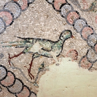 Mosaici pavimentali da san severo a classe, 590 dc ca. 07 - Sailko - Ravenna (RA)