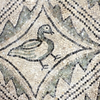 Mosaici pavimentali da san severo a classe, 590 dc ca. 09 uccello - Sailko - Ravenna (RA)