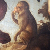 Pittore veneto, creazione dell'uomo, xvii secolo 02 scimmia - Sailko - Ravenna (RA)