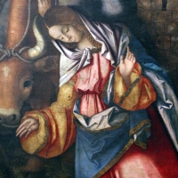 Francesco zaganelli da cotignola, adorazione dei pastori coi ss. bonaventura e girolamo, 1520-30 ca. 08 - Sailko - Ravenna (RA)