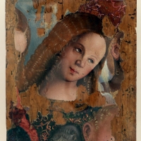 Francesco zaganelli (francesco da cotignola), testa d'angelo, 1520-30 ca - Sailko - Ravenna (RA)