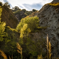 Trasparenze alla cava del Monticino - Massimo Saviotti - Brisighella (RA)