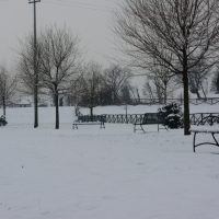 Inverno al Parco - Gianni Buscaroli 1