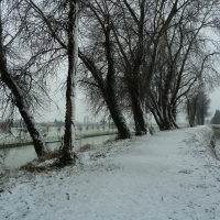 Neve nel sentiero - Gianni Buscaroli 1 - Lugo (RA)