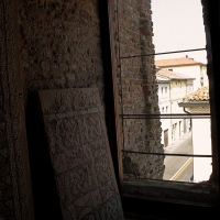 Palazzo di Teodorico - Mosaico piano superiore 6 - Walter manni - Ravenna (RA)