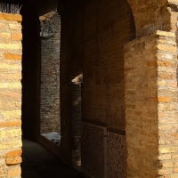 Chiesa di San Salvatore ad Chalchis cosiddetto Palazzo di Teodorico mosaici in vista - Opi1010 - Ravenna (RA) 