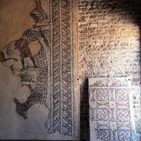 Palazzo di Teodorico - Mosaico piano superiore 3 - Walter manni