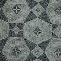 Palazzo di Teodorico - Mosaico piano superiore 9 - Walter manni - Ravenna (RA)