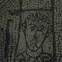 Palazzo di Teodorico - Mosaico piano superiore 5 - Walter manni