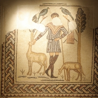 Domus dei Tappeti di pietra -pastore - Walter manni - Ravenna (RA)
