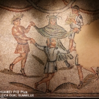 Domus dei tappeti di pietra - la danza delle quattro stagioni - LadyBathory1974 - Ravenna (RA)