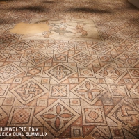 Domus dei tappeti di pietra - le geometrie del "tappeto di pietra" della Danza delle quattro stagioni - LadyBathory1974 - Ravenna (RA)