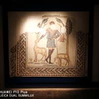 Domus dei tappeti di pietra - il Buon pastore - LadyBathory1974 - Ravenna (RA)