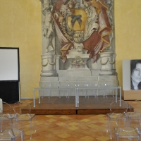 Palazzo Rasponi Dalle Teste (Ravenna) - Salone 01 - Nicola Quirico - Ravenna (RA)
