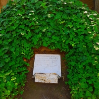 Tomba di Dante in giardino - Opi1010