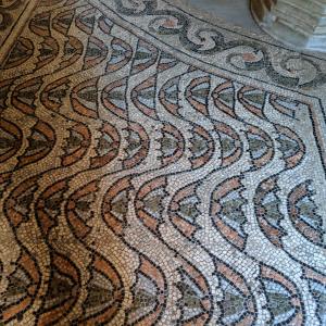 San Vitale Column-Adjacent Floor Mosaic - Conor Manley