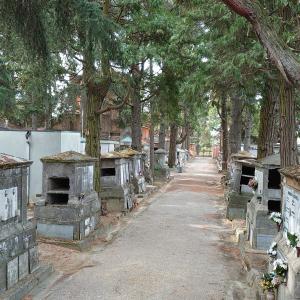 DSC 0764 cimitero monumentale Massa Lombarda4 - SveMi