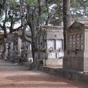 DSC 4175 cimitero monumentale Massa Lombarda 20 - SveMi