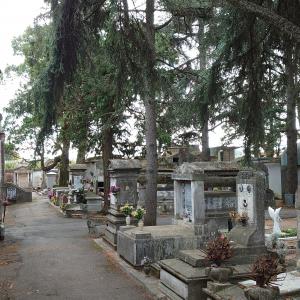 DSC 0774 cimitero monumentale Massa Lombarda3 - SveMi