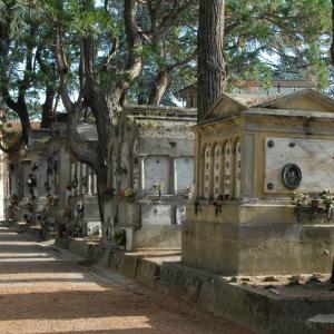 DSC 4065 cimitero monumentale Massa Lombarda 14 - SveMi