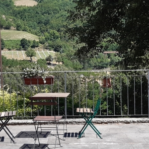 immagine da AZIENDA AGRITURISTICA PEDROSOLA