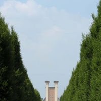 Cimitero Monumentale-viale - Matteo Colla - Poviglio (RE) 
