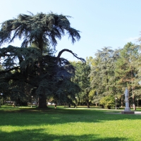 Parco del Popolo (2) - Giulia Bonacini Ph - Reggio nell'Emilia (RE)
