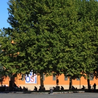 Piazza Martiri - Giulia Bonacini Ph