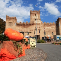 Festa della Zucca in Rocca - Lasagni-stefano - Reggiolo (RE)