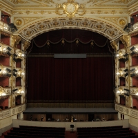Teatro Municipale Romolo Valli sipario 4 - Lorenzo Gaudenzi