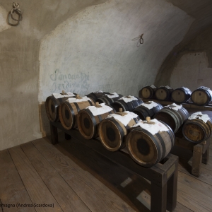 Vinegar barrels - IBC Regione Emilia Romagna Andrea Scardova
