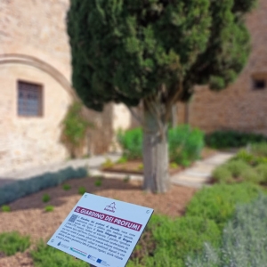 Bianello e il suo Giardino dei Profumi: un viaggio sensoriale tra le erbe medioevali