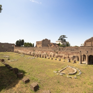 Domus Augustana, Stadium - Simone Antonazzo / ENIT SpA