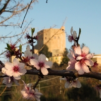 La Rocca e la dolcezza della primavera - LaraLally19 - Montefiore Conca (RN)