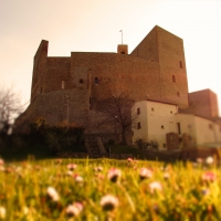 Il castello Malatestiano e la sua primavera - LaraLally19 - Montefiore Conca (RN)