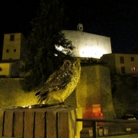 Bellezze notturne - Larabraga19 - Montefiore Conca (RN)