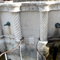 Particolare fontana della pigna - Rimini 3 - Paperoastro