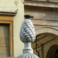 Particolare fontana della pigna - Rimini 1 - Paperoastro